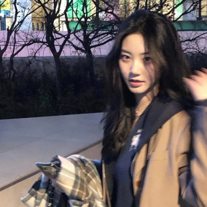 亚历山大大帝的失落陵墓 在线观看